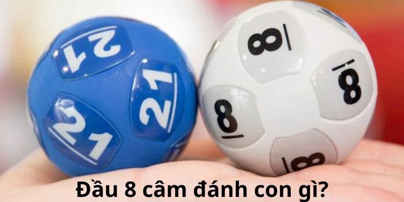 Trả lời câu hỏi đánh con gì trong câm hàng chục con 8