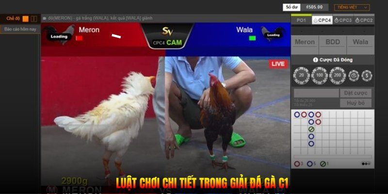 Luật chơi chi tiết trong giải đá gà C1